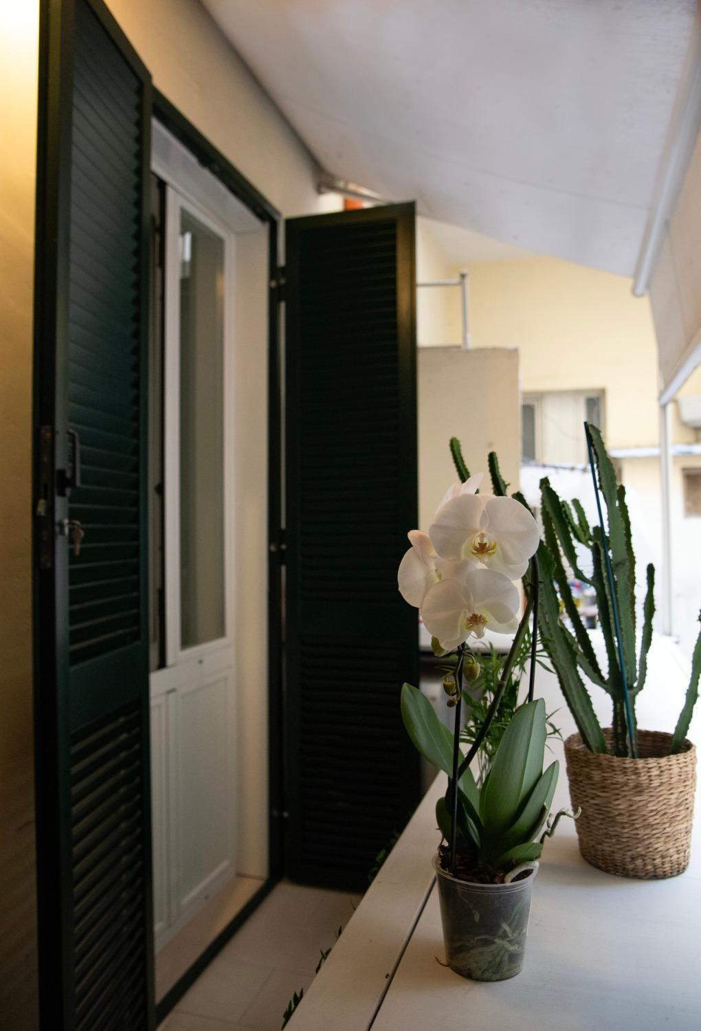 Appartement House Domusella à Rome Extérieur photo